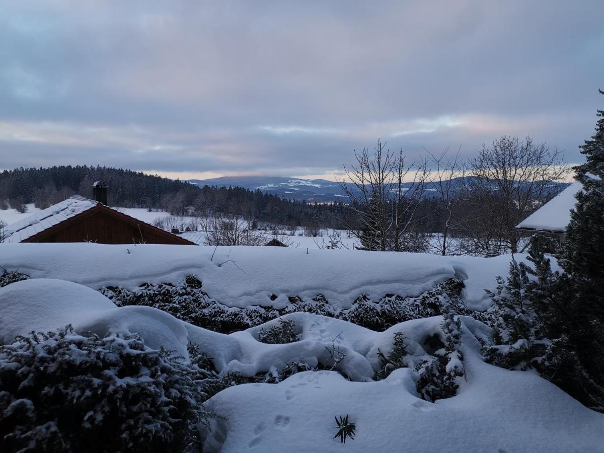 Ferienwohnungen "Haus Daxberg" Idyllisch Gelegen Im Bayerischen Wald Eppenschlag Esterno foto