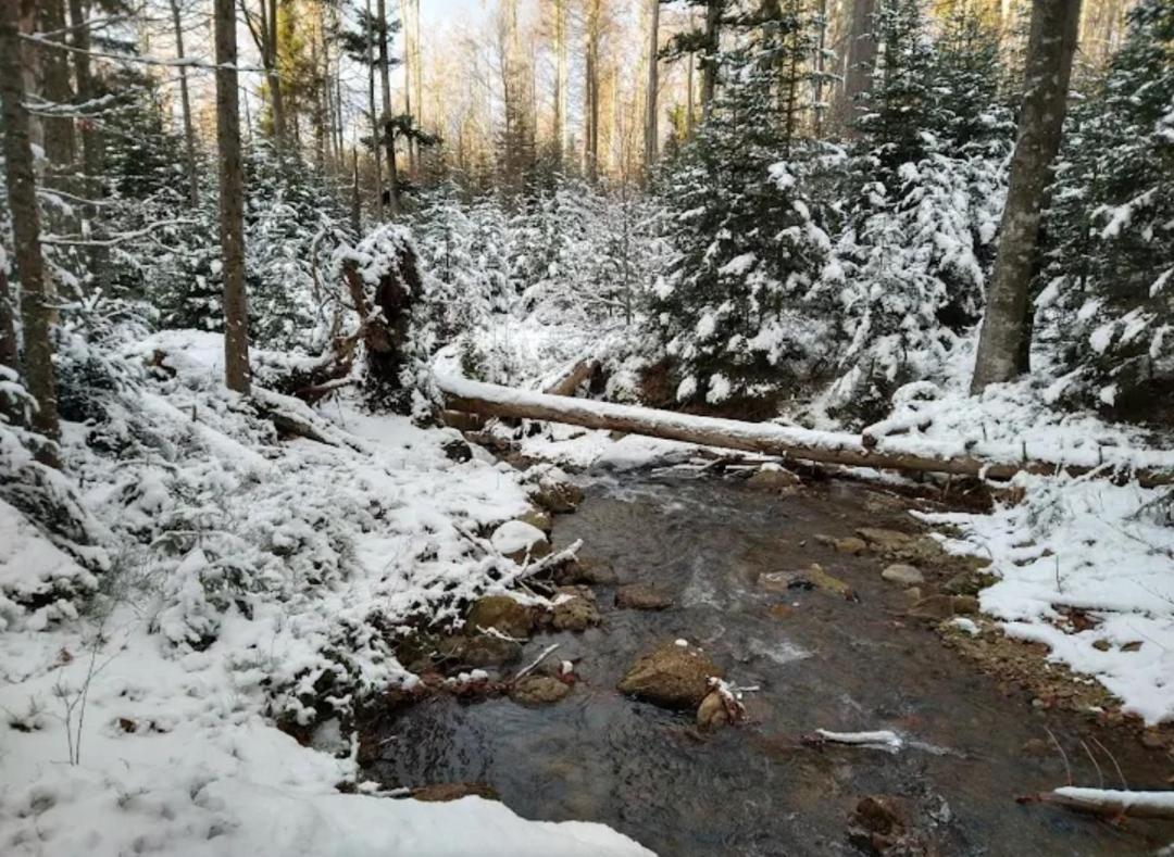 Ferienwohnungen "Haus Daxberg" Idyllisch Gelegen Im Bayerischen Wald Eppenschlag Esterno foto