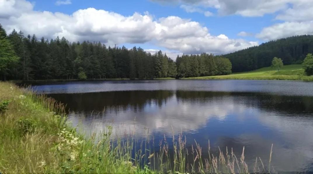 Ferienwohnungen "Haus Daxberg" Idyllisch Gelegen Im Bayerischen Wald Eppenschlag Esterno foto