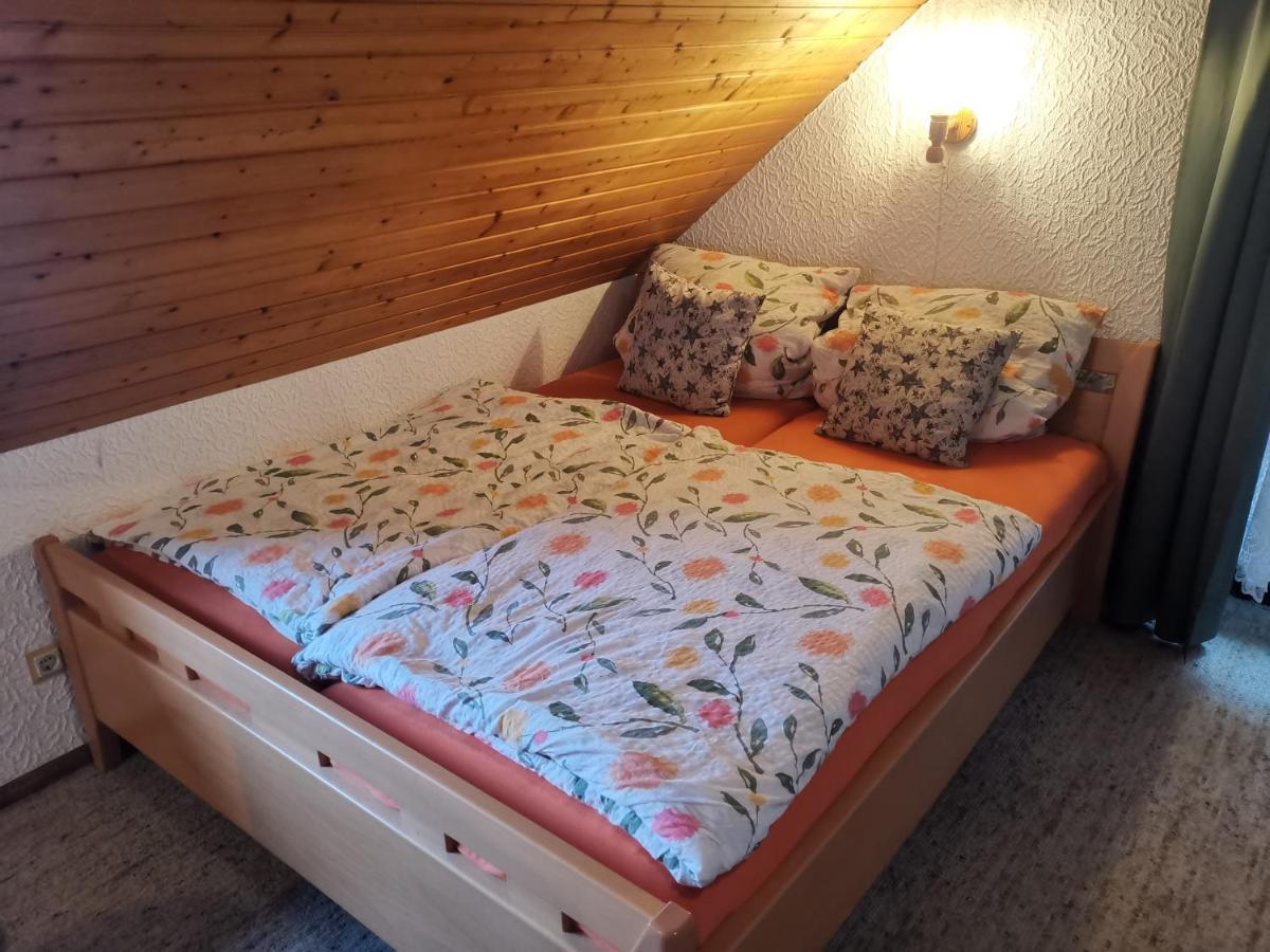 Ferienwohnungen "Haus Daxberg" Idyllisch Gelegen Im Bayerischen Wald Eppenschlag Esterno foto