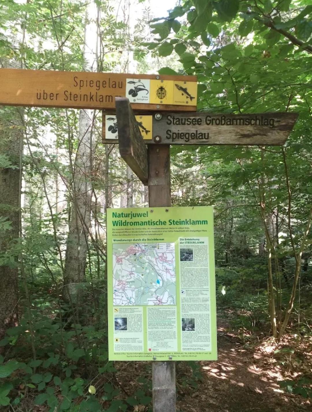 Ferienwohnungen "Haus Daxberg" Idyllisch Gelegen Im Bayerischen Wald Eppenschlag Camera foto